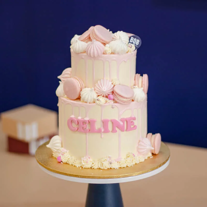 Dainty Pink Drip Cake with Macarons and Meringue